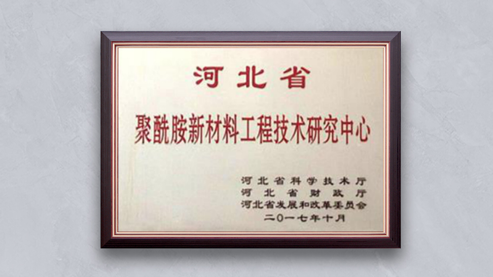 沧州园区“河北省聚酰胺新材料工程技术研究中心” 